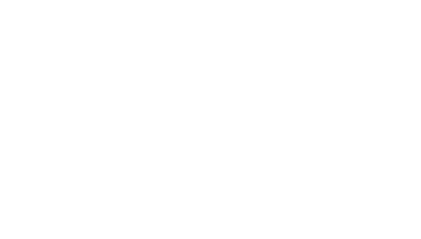 White Silly Goose flag lettering